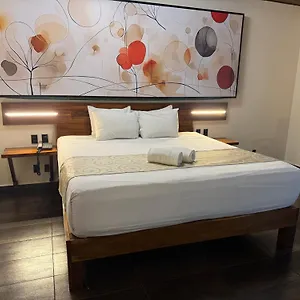 Hotel Kavia 5th Avenida (adults Only)
